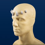 Medium Zabrak Horn Set (6 Piece)