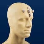 Small Zabrak Horn Set (5 Piece)