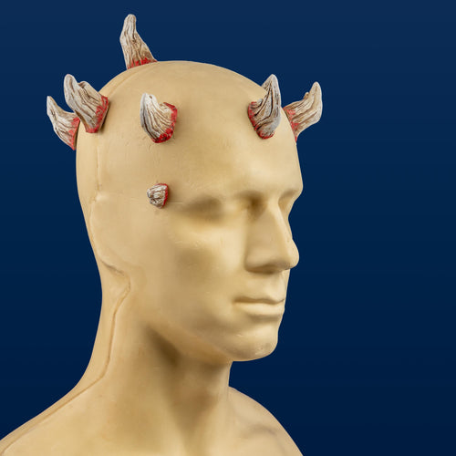 Darth Maul Horns Set