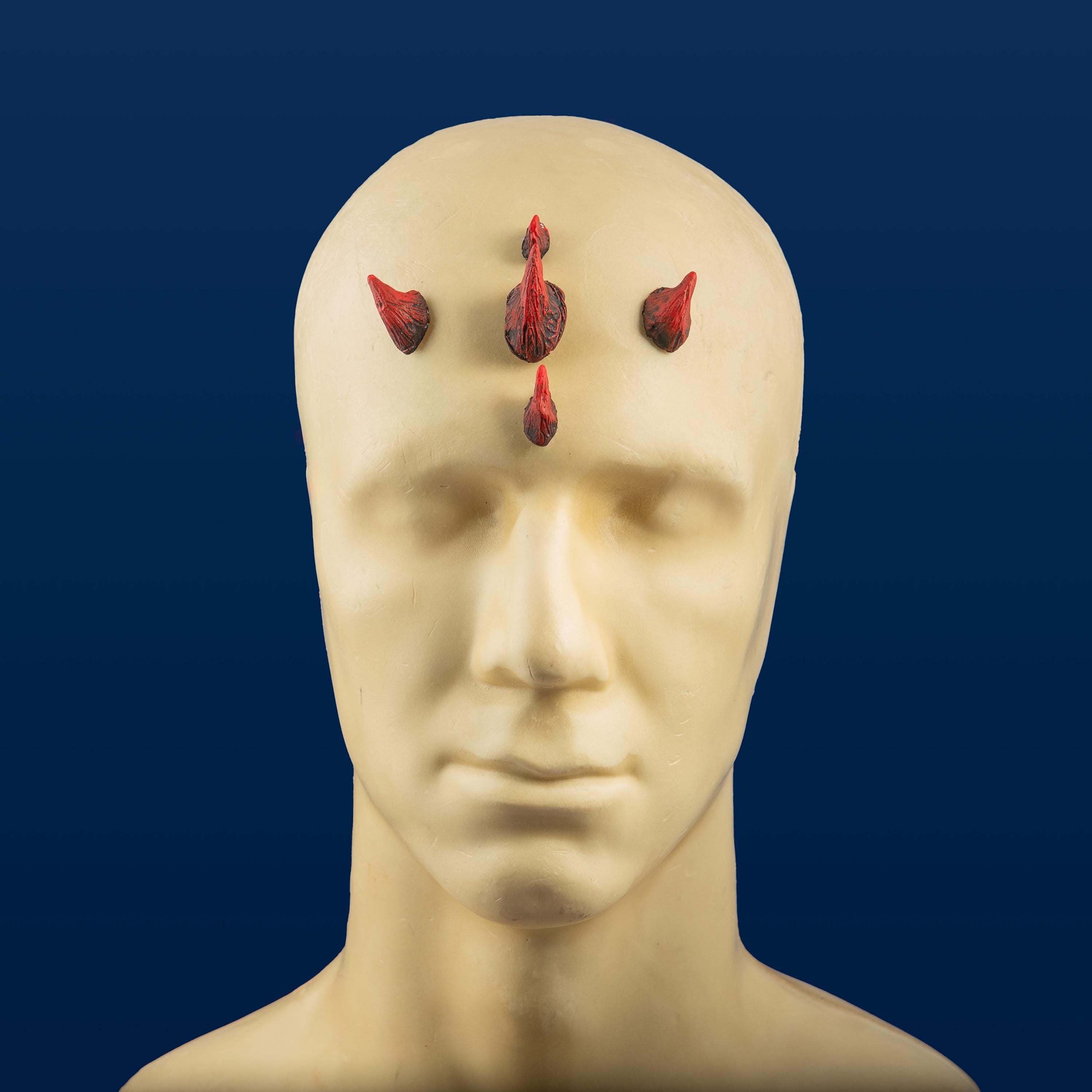 Small Zabrak Horn Set (5 Piece)