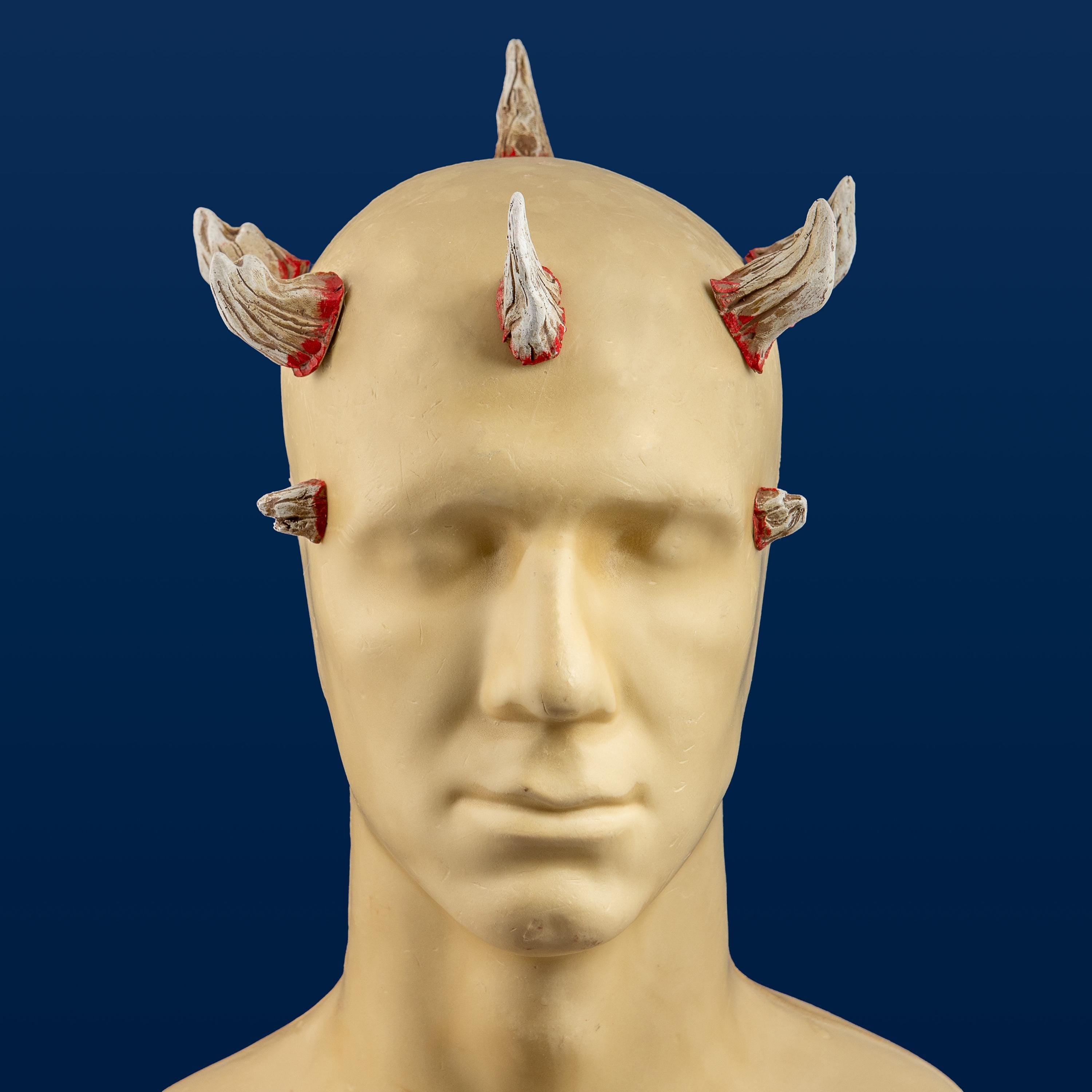 Darth Maul Horns Set