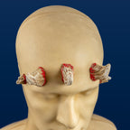 Darth Maul "Lite" Horn Set (5 Piece) - For Wigs & Hair
