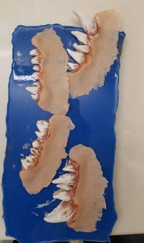 Monster Teeth Prosthetic (Mileena / Venom Style)