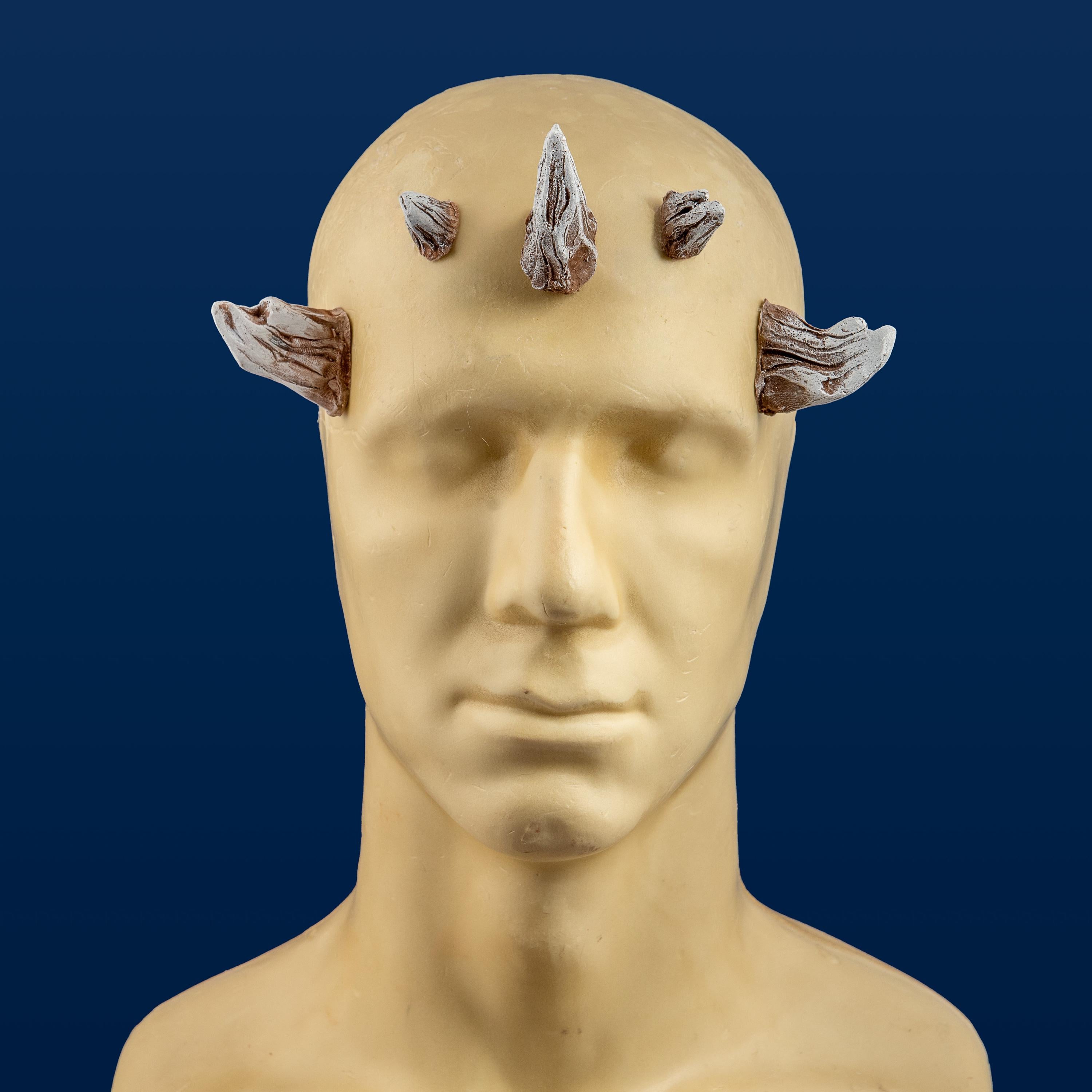 Darth Maul "Lite" Horn Set (5 Piece) - For Wigs & Hair