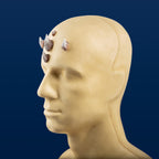 Small Zabrak Horn Set (5 Piece)