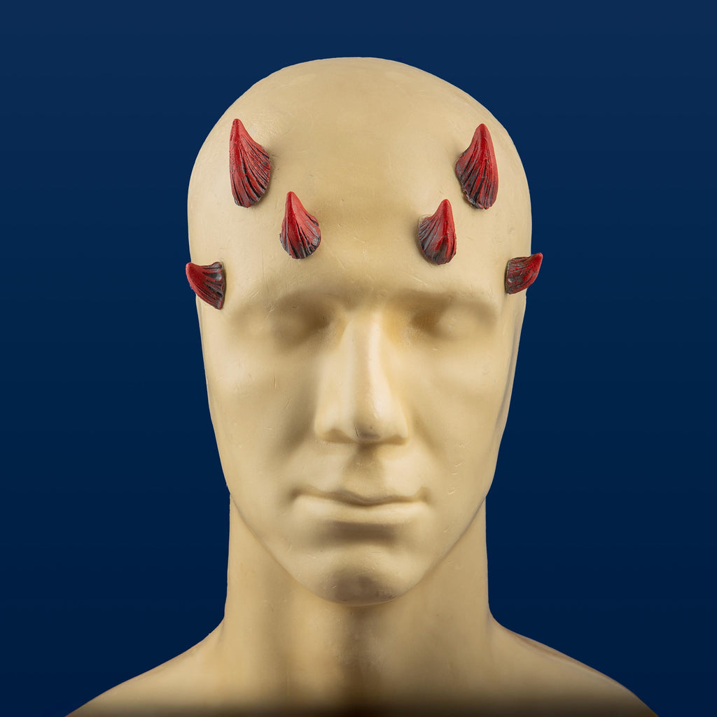 Medium Zabrak Horn Set (6 Piece)