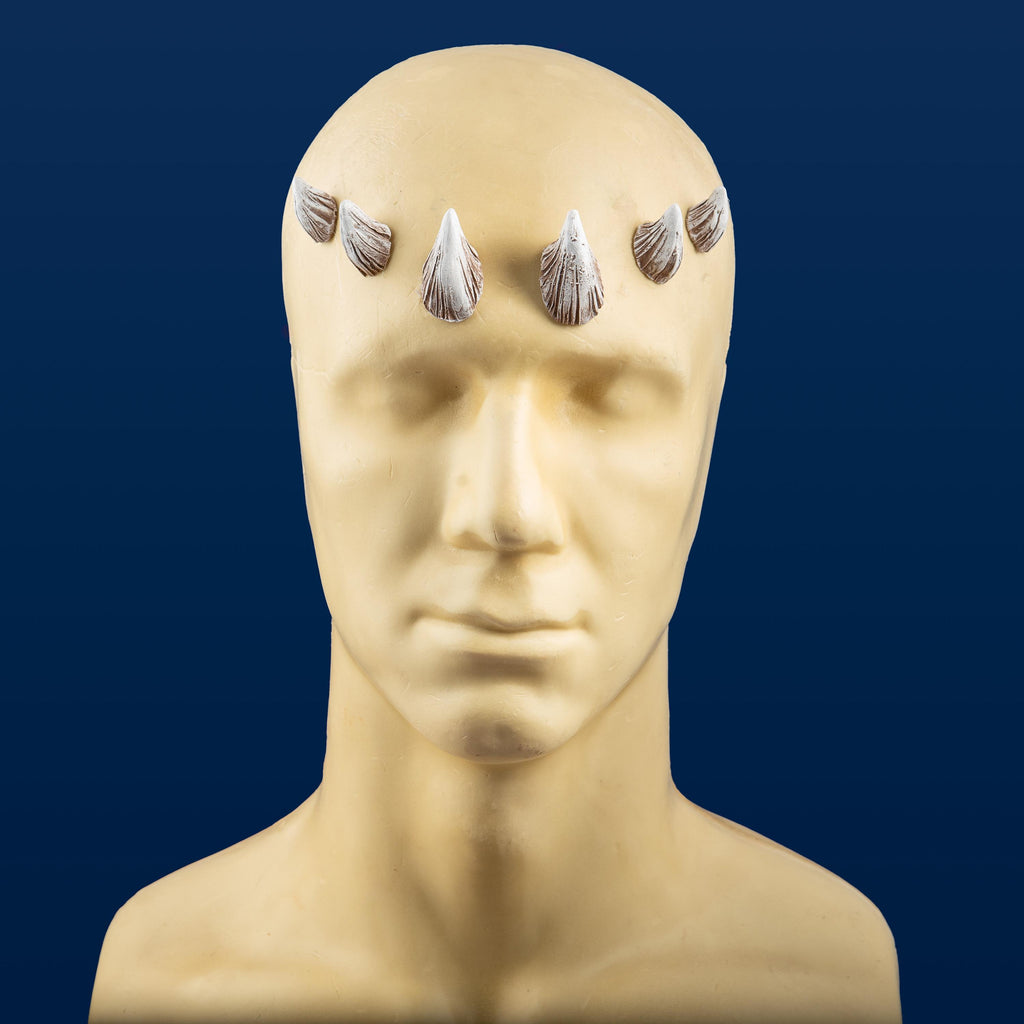 Medium Zabrak Horn Set (6 Piece)