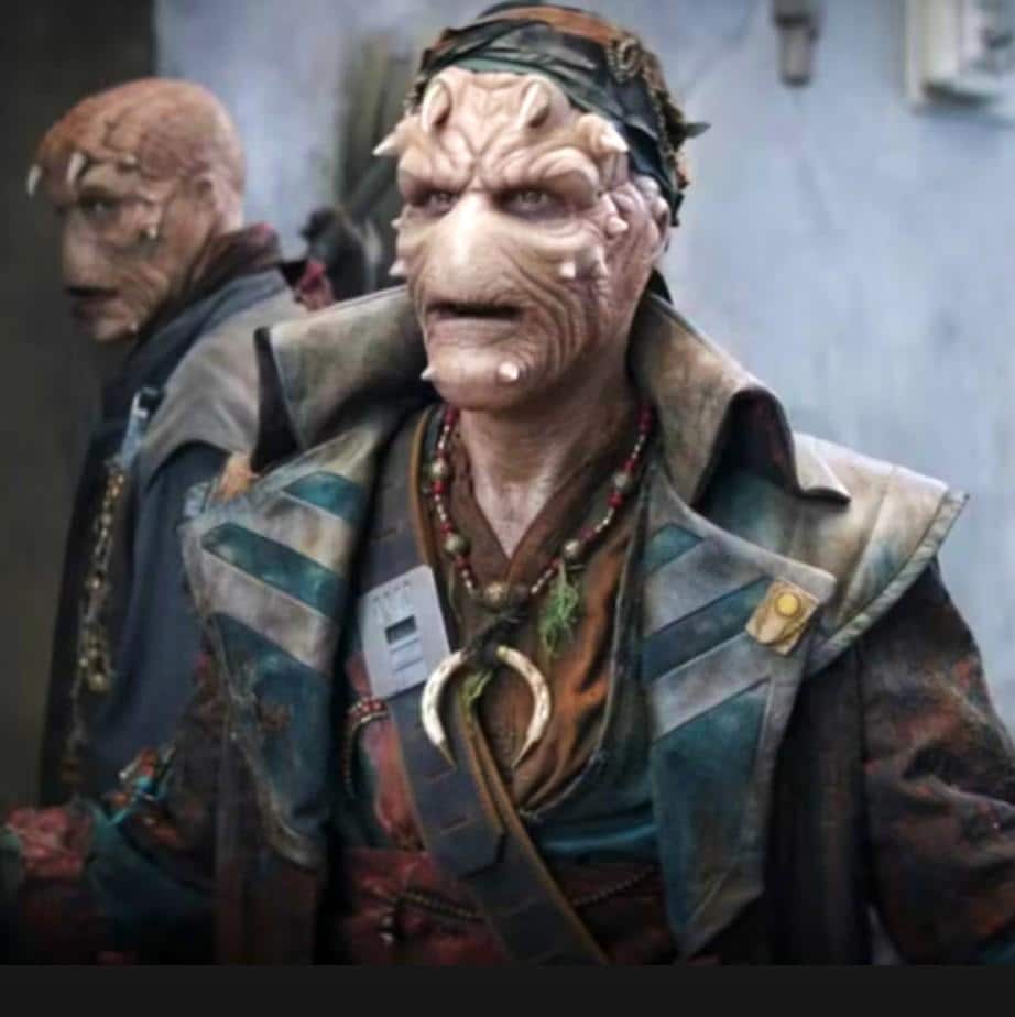 Vane Pirate Lapel Pin