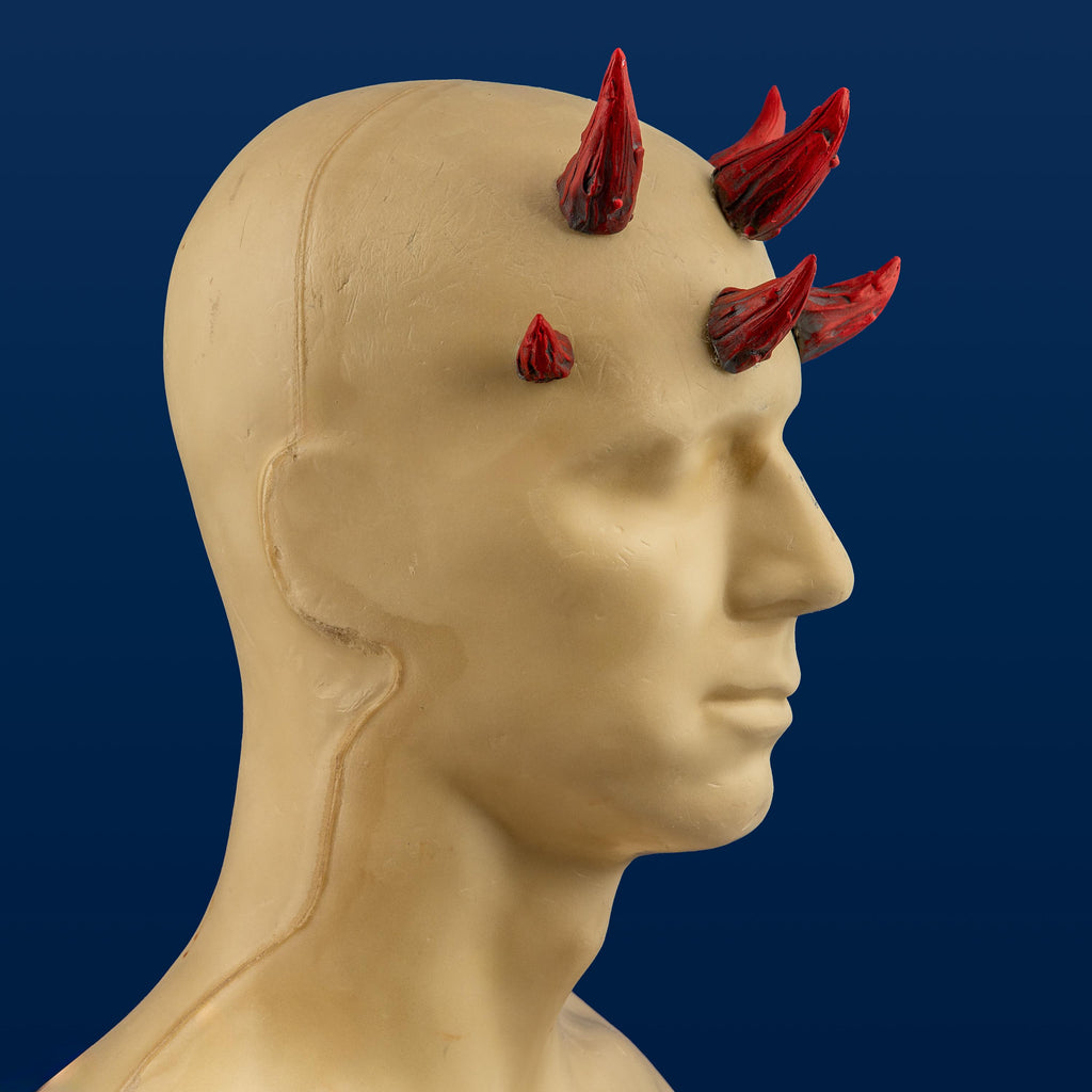 Large Zabrak Horn Set (7 Piece)