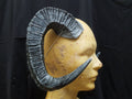 Large Ram Horns (Pair)