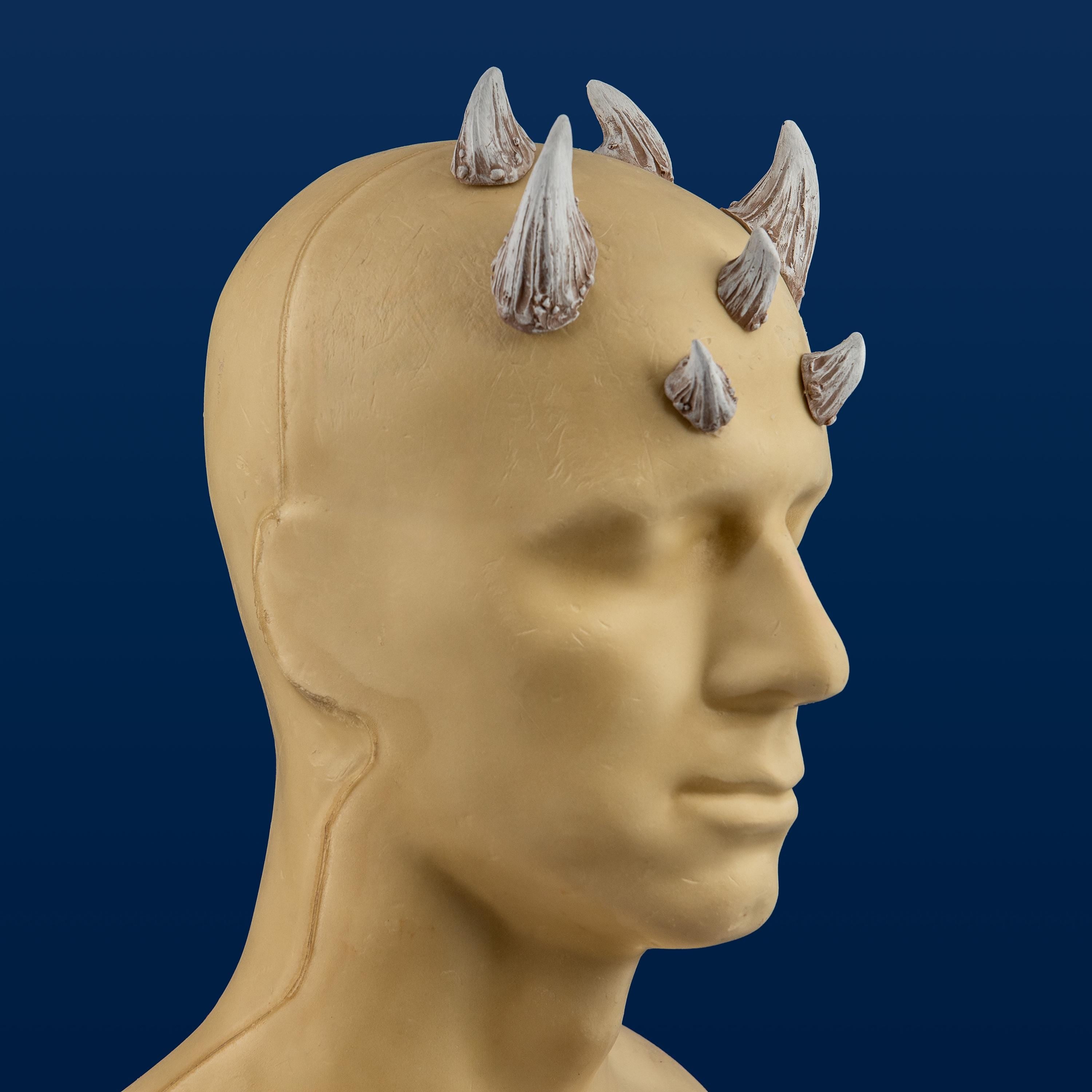 Extra Large Zabrak Horn Set (7 Piece)