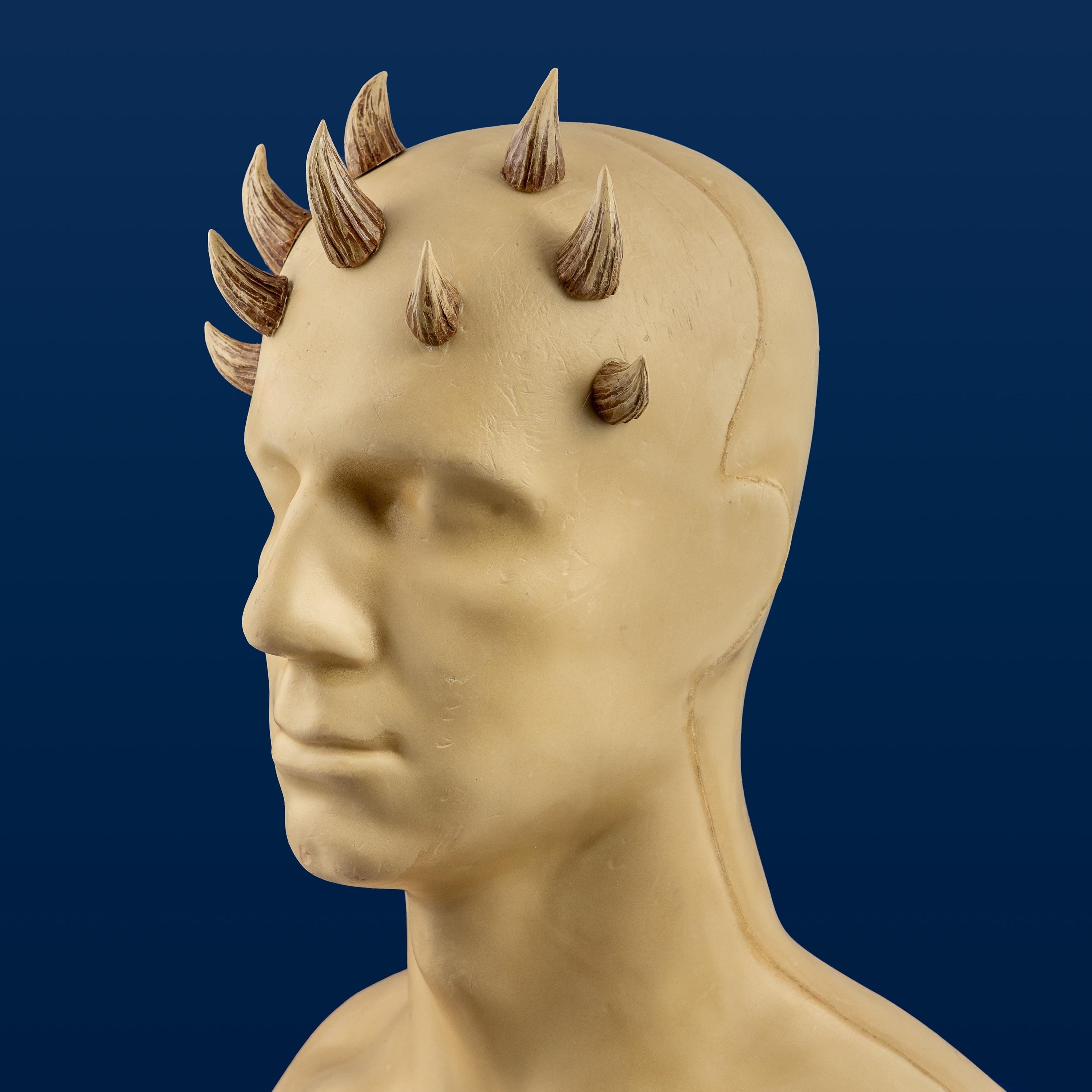 Mother Koril Zabrak Horn Set (9 Piece)