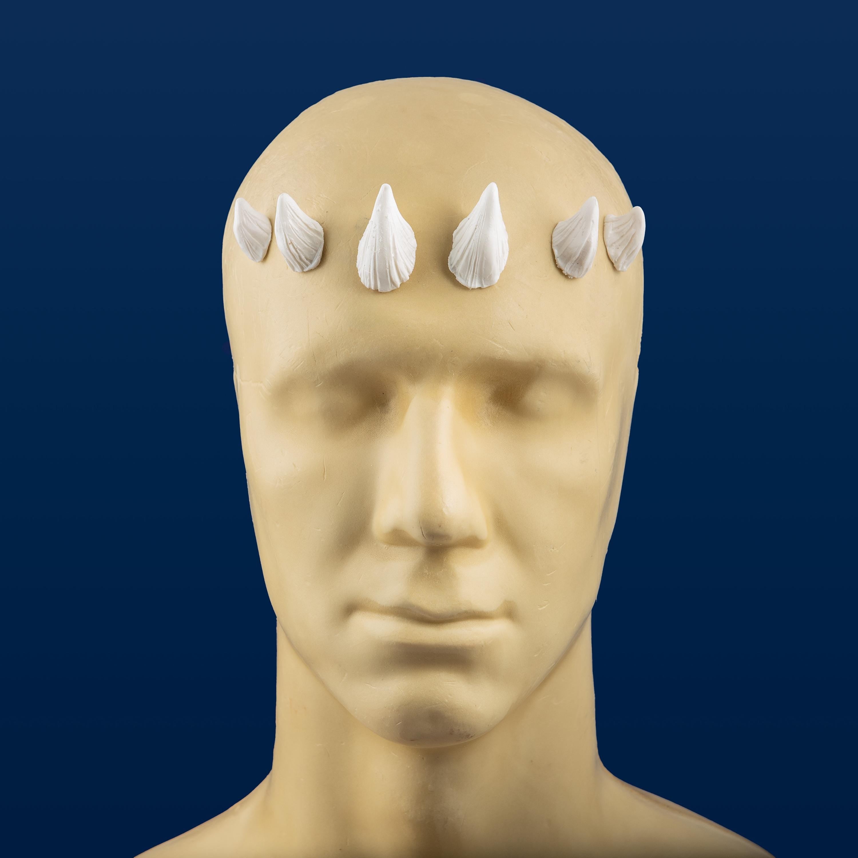 Medium Zabrak Horn Set (6 Piece)