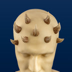 Mother Koril Zabrak Horn Set (9 Piece)