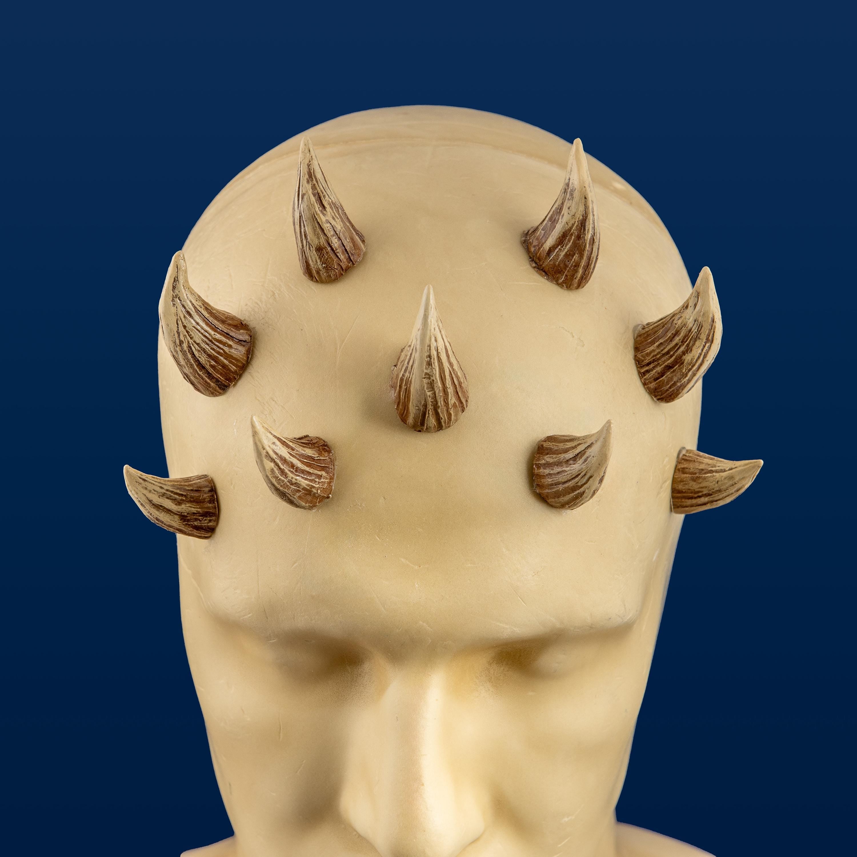 Mother Koril Zabrak Horn Set (9 Piece)