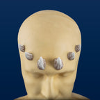 Medium Zabrak Horn Set (6 Piece)