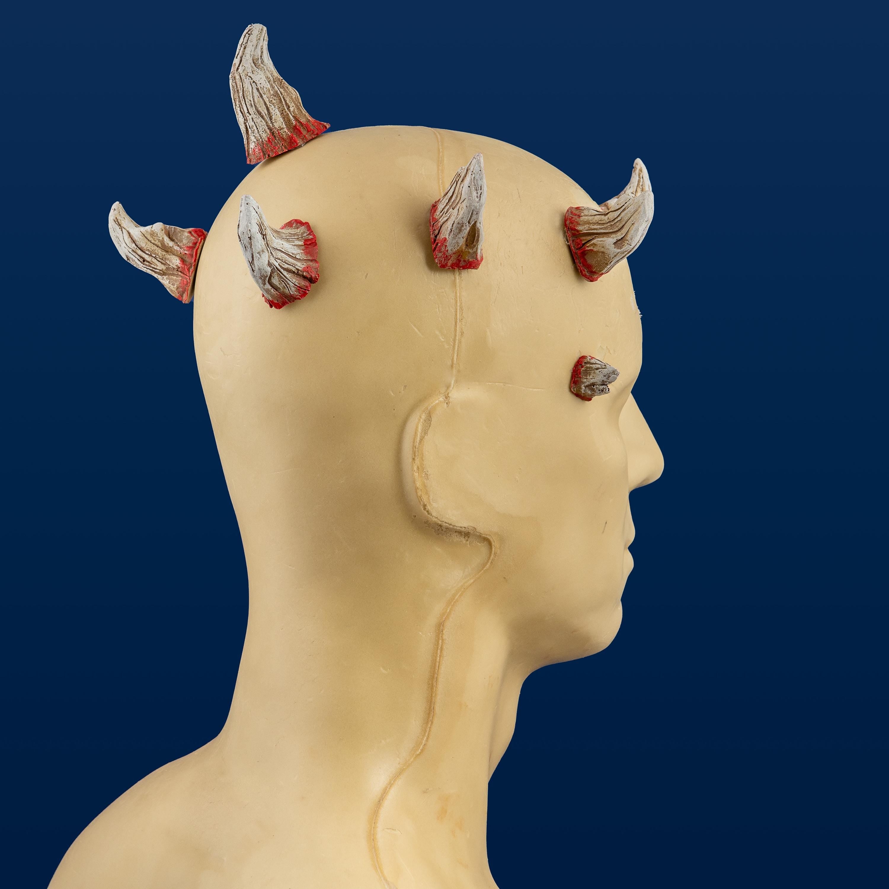 Darth Maul Horns Set