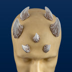 Extra Large Zabrak Horn Set (7 Piece)