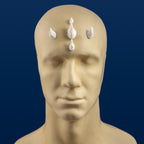 Small Zabrak Horn Set (5 Piece)