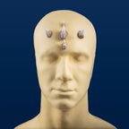 Small Zabrak Horn Set (5 Piece)