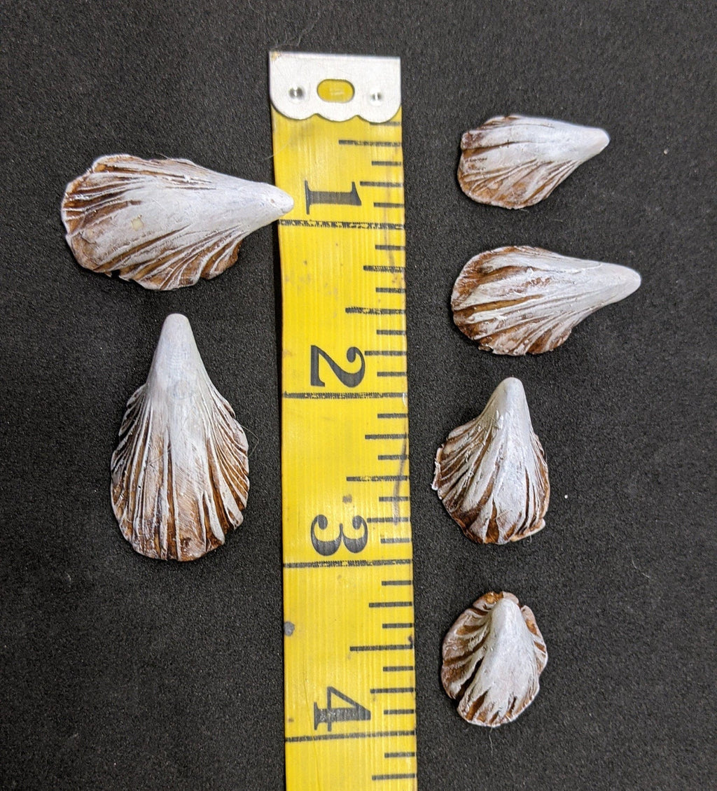 Medium Zabrak Horn Set (6 Piece)