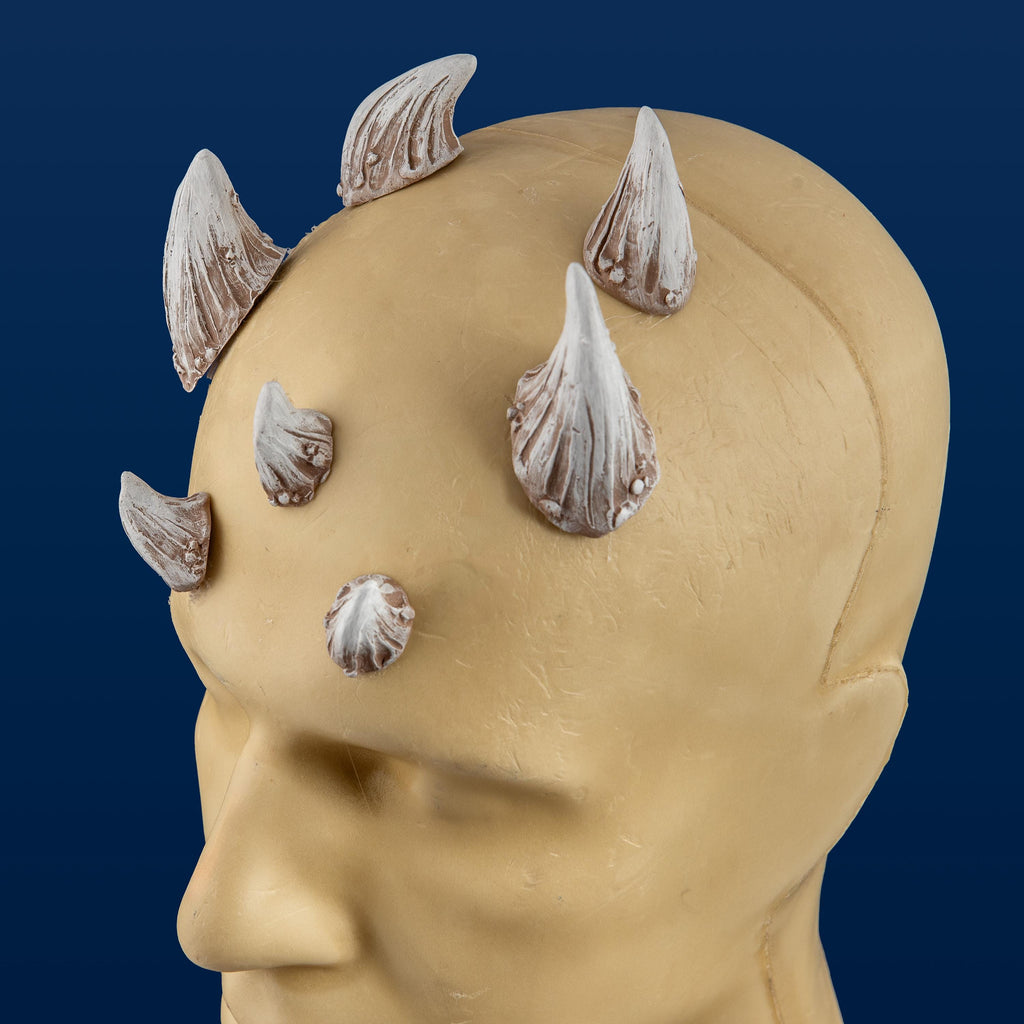 Extra Large Zabrak Horn Set (7 Piece)