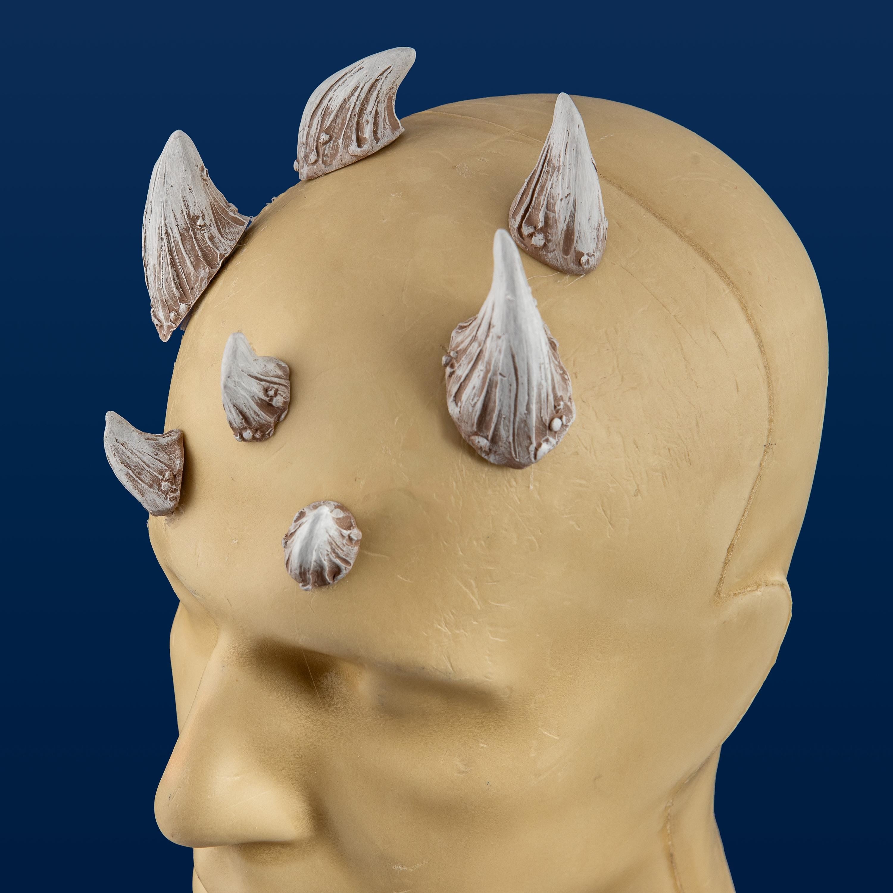 Extra Large Zabrak Horn Set (7 Piece)