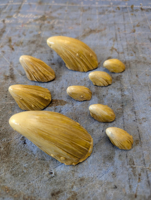 Agen Kolar / Eeth Koth Zabrak Horn Set (9 Piece)